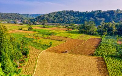 Sengkarut Lahan, Sertifikat di Kawasan Hutan Wajib Dibatalkan