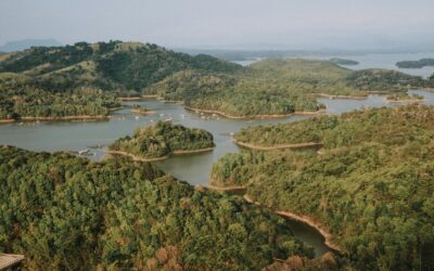 Jejak Hijau Kaltim Menerobos Skema Karbon Global