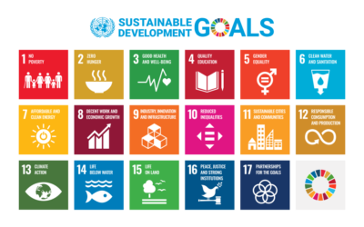 Kusta di Indonesia, Bukti Nyata SDGs Masih Jauh di Pelosok