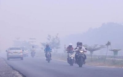 Alam Terganggu, Musim Baru Muncul Satu per Satu