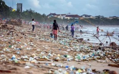 Bayang-bayang Overtourism, Mampukah Bali Temukan Jalan Pariwisata Berkelanjutan?