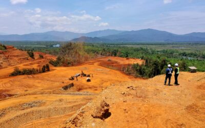 Darurat Ekologi, Satwa Liar Sumatera dan Sulawesi Terdesak Perkebunan dan Tambang