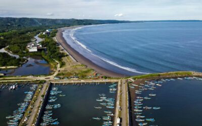 Stok Ikan Laut Jawa Menyusut Drastis, Alarm Degradasi Lingkungan